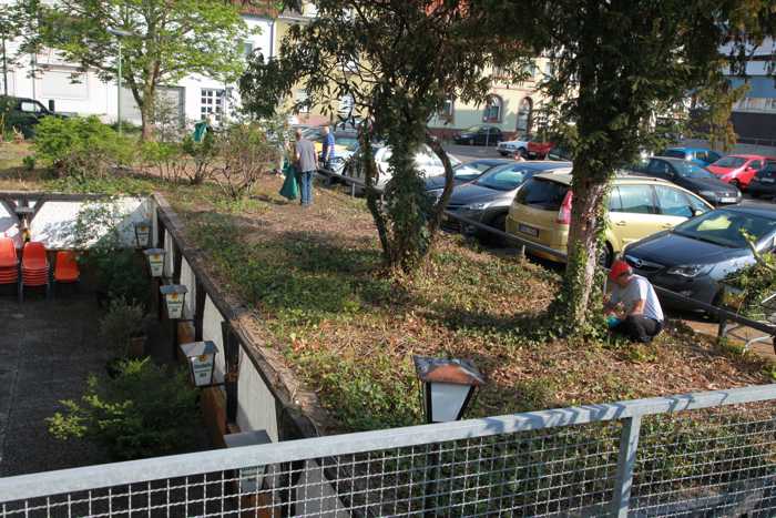 Gestrüpp, Unkraut und Müll beseitigen