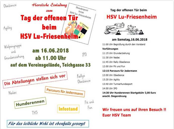 Plakat Tag der offenen Tür - HSV Friesenheim