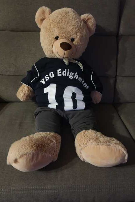 VSG Edigheim Bärin
