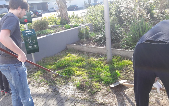 Wo ist das Hundeklo? Im Hochbeet oder doch der Ständer mit den kostenlosen Hundekotbeuteln? Vielen Dank an die Hundebesitzer, die das kostenlose Angebot nutzen und die Haufen Ihrer Vierbeiner gleich entsorgen. Foto:MBO